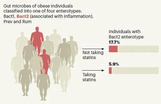 ▲服用他汀类药物影响了肥胖人群的肠道菌群构成（图片来源：参考资料[2]）