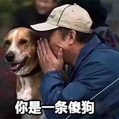 在家遛狗就能赚钱？这App的套路是真的“遛”