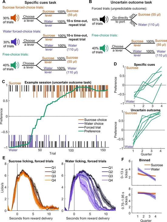 - Ottenheimer et al。， Sci。 Adv-