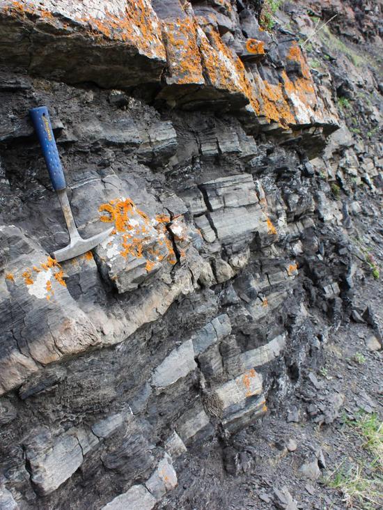 阿拉斯加北坡中上三叠统shublik组岩石露头 | 这些黑色的深水