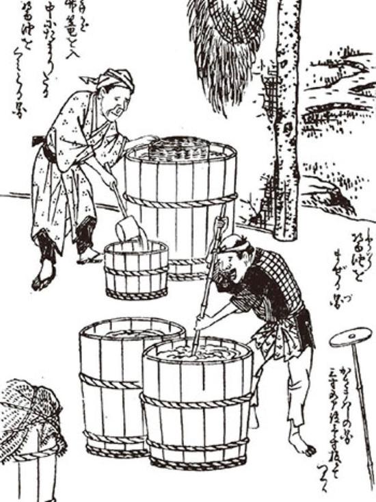 酱油在日本如何崛起的?