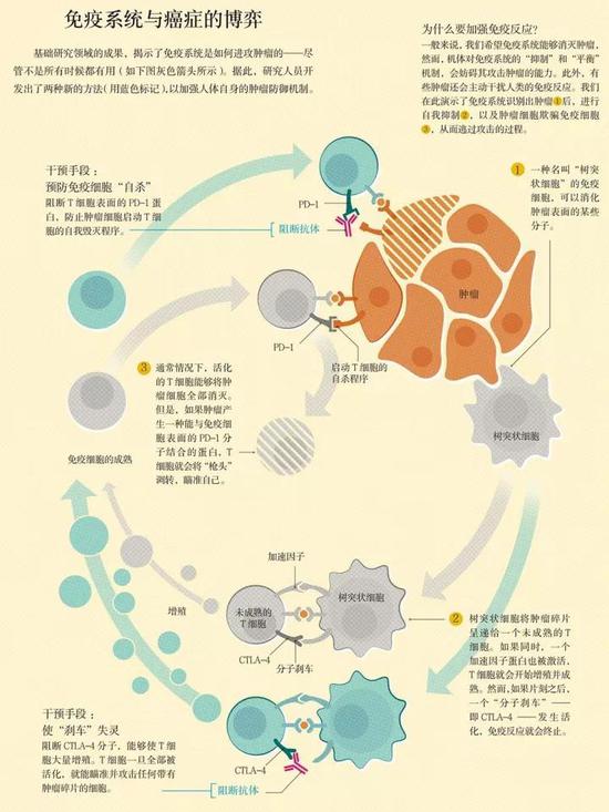 疗效的评价