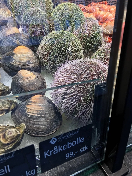 挪威市场上的北极圆蛤（和其他海鲜） 