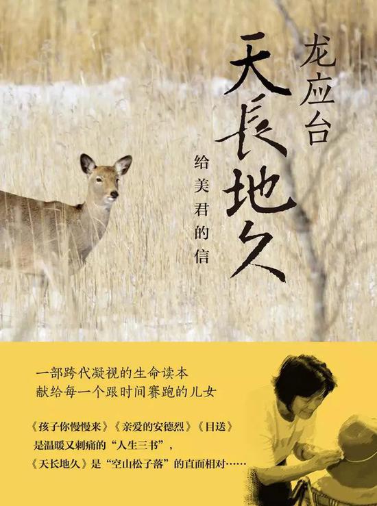 春节书单:红杉中国2019新春书单:愿你在阅读中,驭风前行