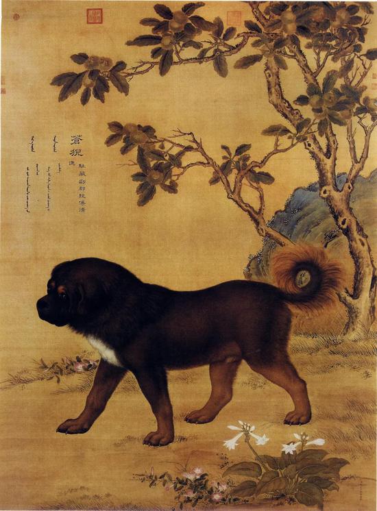 　郎世宁《十骏犬图》中的藏獒形象