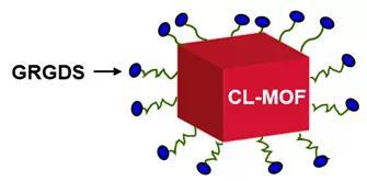 立方体人工血小板GS5-MOF