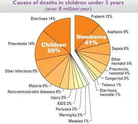 在一些发展中国家，肺炎是5岁以下儿童死亡的首要原因 / The Logical Indian