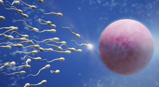 科学探索|精子年龄新测量方法可能是妊娠成功的预测指标