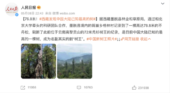 83.2米！中科院科学家发现迄今为止中国最高树木