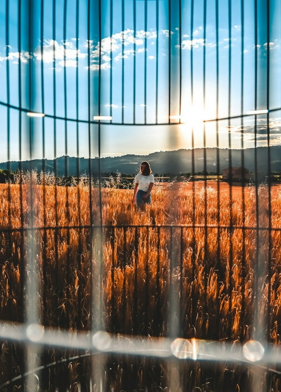 年底电商大促在即 你可以看看这些尼康微单