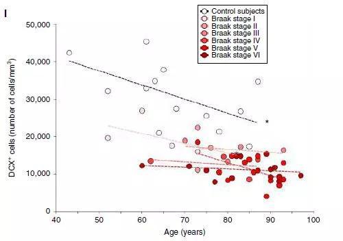 ▲AD患者的海马齿状回中，DCX阳性的新生神经元数量显著少于健康人，且病程越重，新生神经元越少（图片来源：参考资料[1]）
