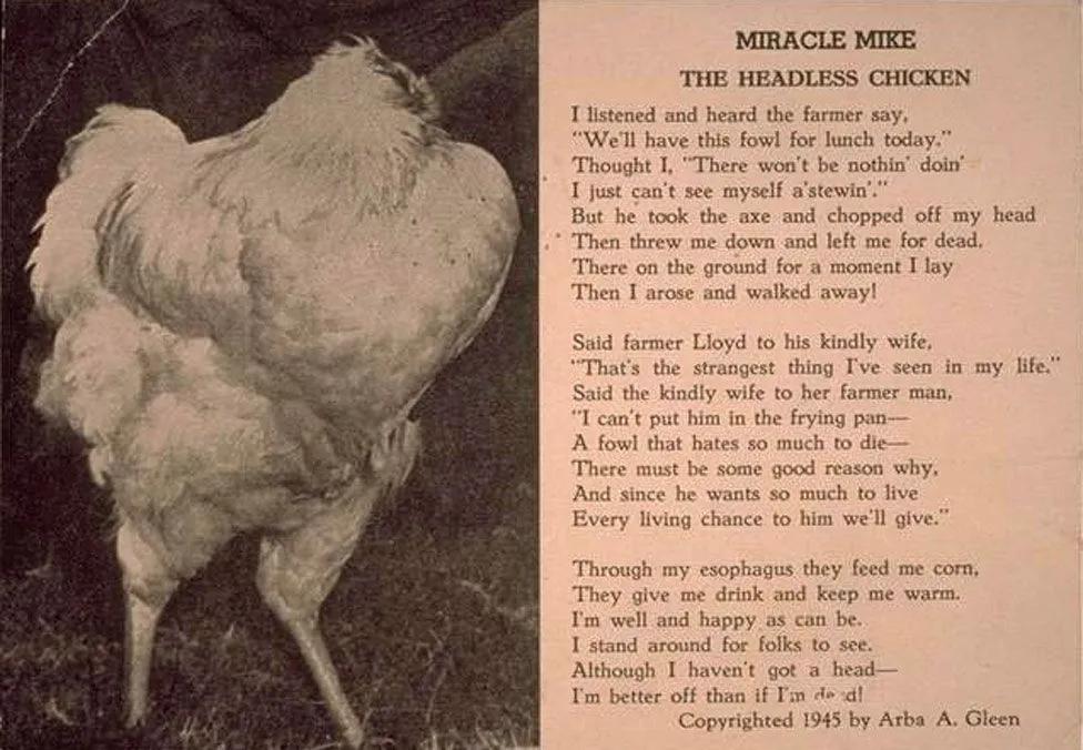 一首名为“奇迹麦克”的诗。图片来源：沃特斯家族