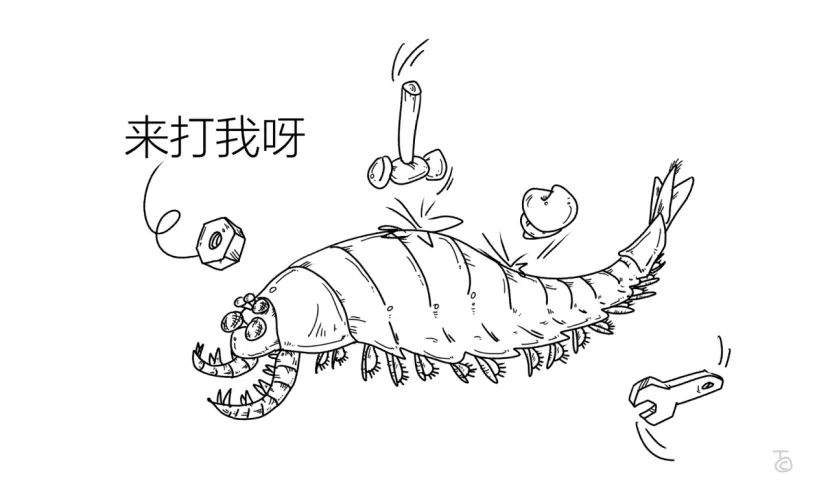 麒麟虾复原图 图片来源:作者提供