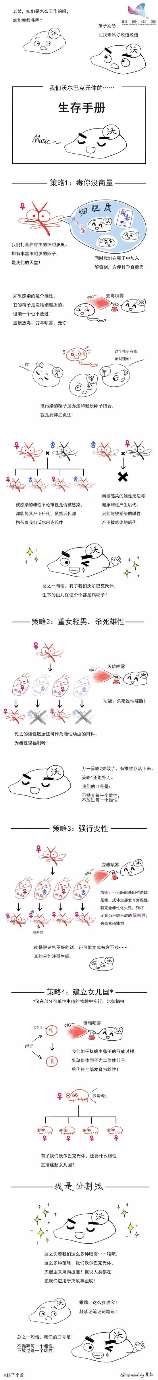 澳洲大规模灭蚊实验大获成功,背后功臣竟是神秘细菌