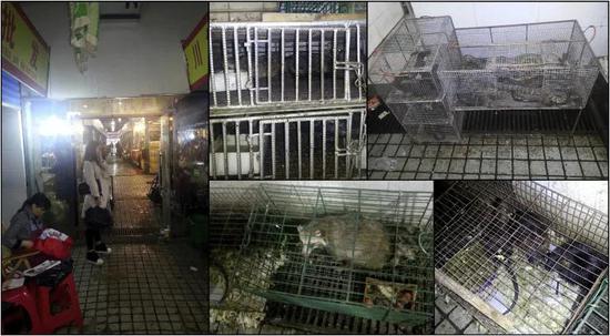  ▲研究作者数年前在武汉华南海鲜市场拍摄到的照片（图片来源：参考资料[1]）