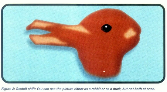 Destalt转换：你可以自图画中看到一只兔子或一只鸭子，但你不能同时两个都看到。