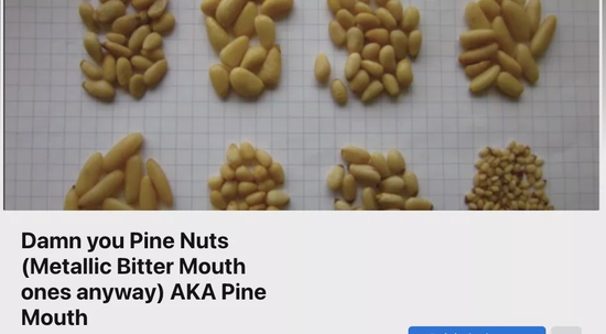 外国人发现吃完中国松子嘴里有怪味,我国随即禁止出口,原理至今不明