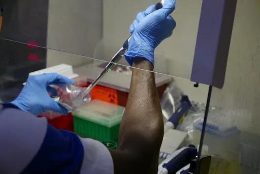 埃博拉的测序工作，面临着多重难题 | worldpolicy.org