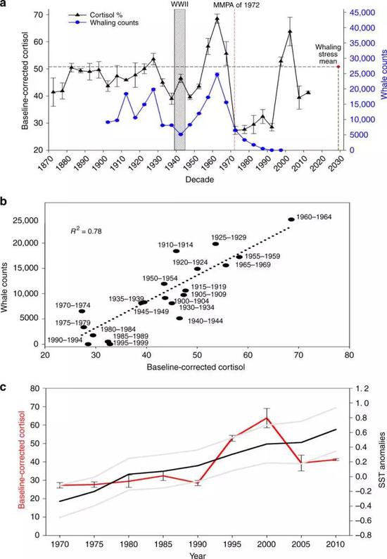 鲸鱼皮质醇与捕鲸数量和海面温度的关系 （图片来源：参考文献1）