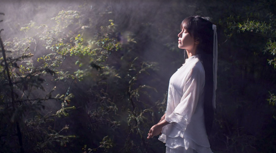 唯美的李子柒,世俗的商业化