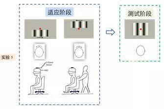 图4 头部转动条件下，适应阶段主动头动（左下）和被动头动（右下）示意图。