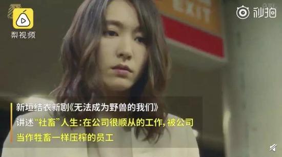 为什么“狼性文化”的公司,狗却越来越多?