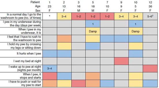缺失PIEZO2的患者日常可能遇到各种排尿问题，表格中灰色代表无病理性，其他色块代表不同严重程度的病理评分