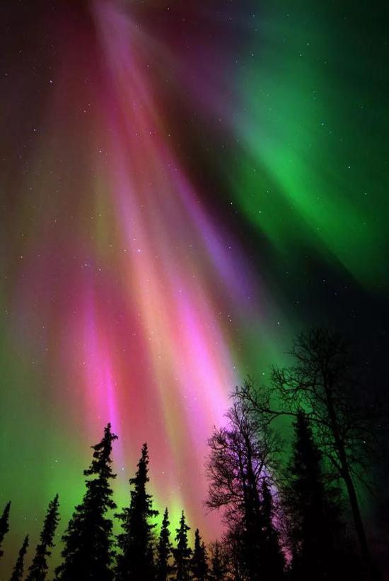 北欧拉普兰德上空射线状的灿烂极光芒（源自https：//ecophiles.com/）