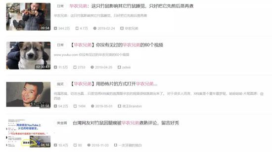 （图为华农兄弟相关的视频列表。图片来源：B站。）