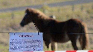 亨德拉疫情在澳大利亚昆士兰暴发后，一些当地马匹被隔离（smh.com.au）