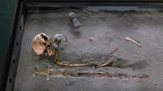 科学家分析了冰岛第一批定居者的骨骼化石，例如在该岛北部海岸附近的一个坟墓里发现的这具遗骸。图片来源：Ivar Brynjolfsson/冰岛国家博物馆