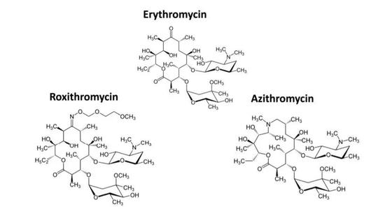▲罗红霉素与阿奇霉素有类似的效果（图片来源：参考资料[1]）
