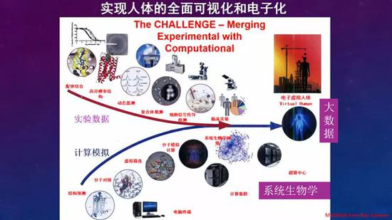 结构生物学的大方向：实现电子虚拟人体