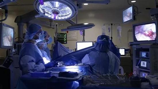 移植手术过程。图片来源：美联社