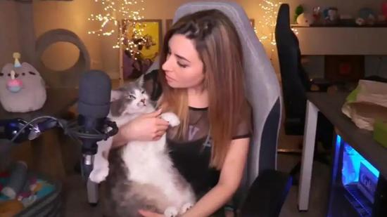 一场互联网“猎巫运动”:女主播扔猫记