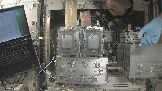 JAXA Astronaut Akihiko Hoshide transferring fish to the Aquatic Habitat facility on-board the International Space Station during Increment 33/34。JAXA航天员Akihiko Hoshide将鱼转移到国际空间站的水生栖息地设施。（图片来源：NASA）