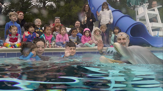 「新浪科技综合」中国海洋馆迎来“机器海豚”！每只2600万美元新浪科技综合2020-08-19 09:22:270阅