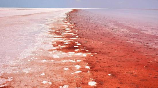 土耳其一处因发生赤潮而变红的盐湖