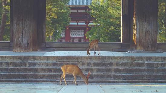 《地球改变之年》剧照