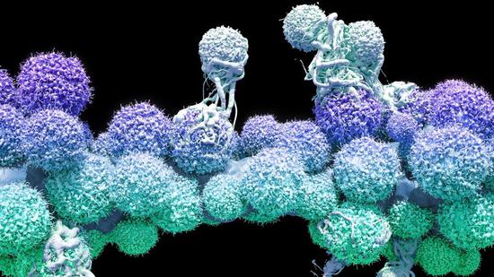 恶性肿瘤内的细胞个个脾气不一样，游离肿瘤DNA和染色体外DNA提供了对抗肿瘤的新思路。