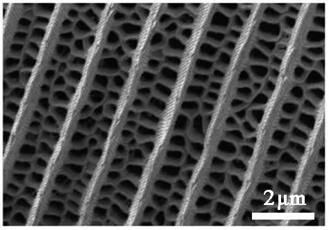（图片来源：参考文献[5]及作者制作）