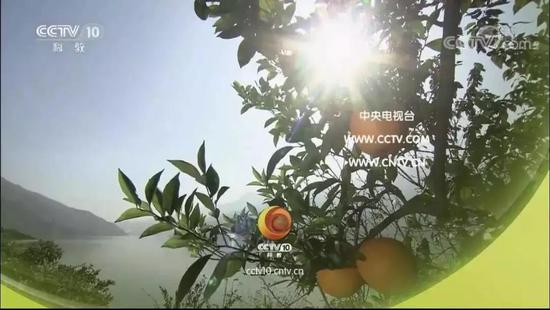 《走近科学》停播了,你的童年噩梦无家可归了