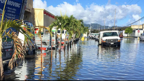檀香山的满潮洪涝。图片来源：Hawaii Sea Grant King Tides Project