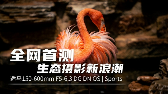 新浪科技综合|生态摄影新浪潮 适马150-600mm F5-6.3 DG DN OS镜头评测