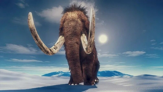 从生的一端到死的一端：象牙记录猛犸象的生命连续剧