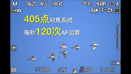 最强即目标 尼康微单旗舰Z 9评测