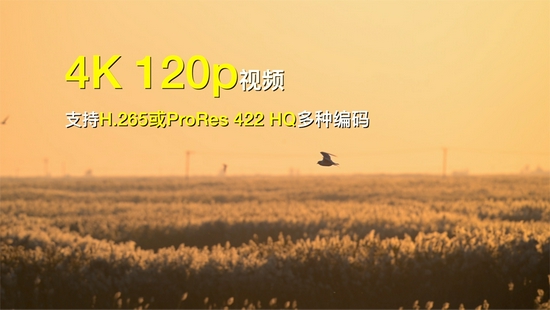 最强即目标 尼康微单旗舰Z 9评测