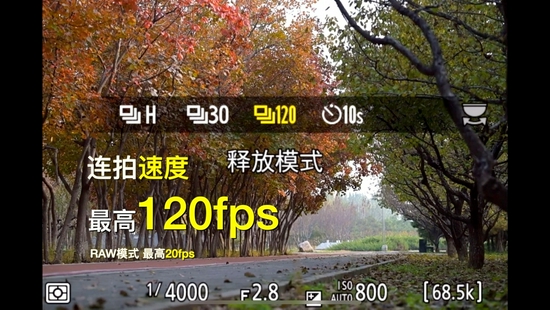 最强即目标 尼康微单旗舰Z 9评测