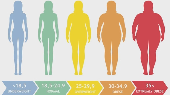 女性不同BMI值对应体型图源：coach.nine