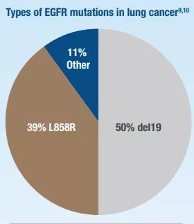19号外显子缺失突变，占到了全部EGFR突变阳性患者的一半